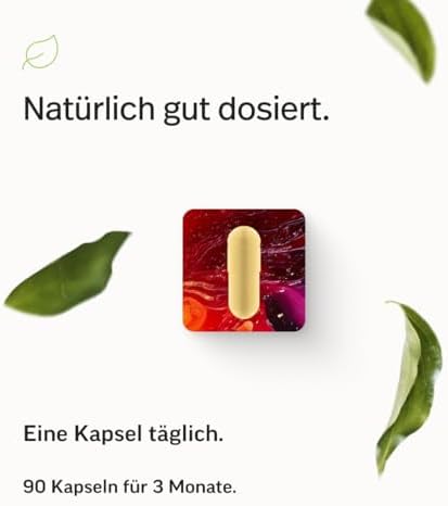 edubily® Vitamin B Komplex, 90 Kapseln