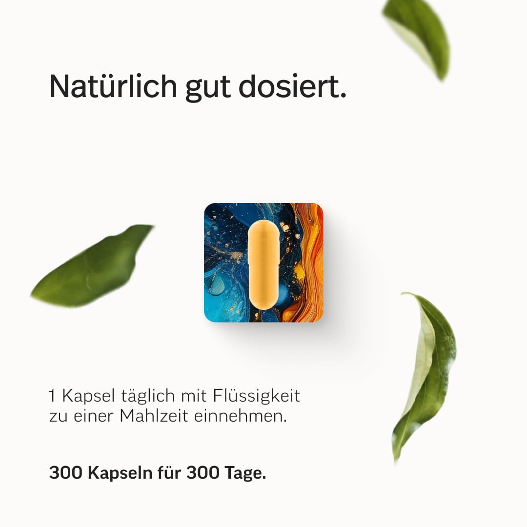 edubily® Das Multi - Multivitamin Kapseln als umfassende Mikronährstoff-Basis - mit 20 Mikronährstoffen, PQQ & Q10 - ohne unnötige Zusätze - 1 Kapsel täglich (90 Kapseln mit Iod)