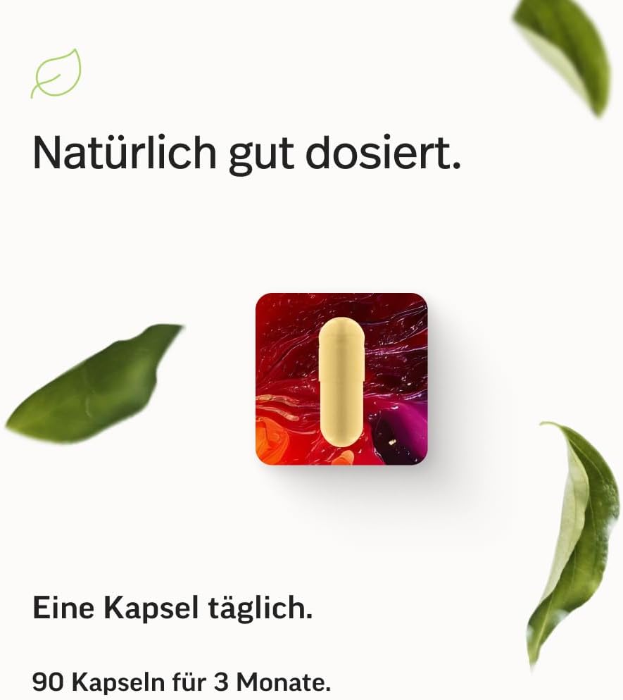 edubily® Vitamin B Komplex, 90 Kapseln
