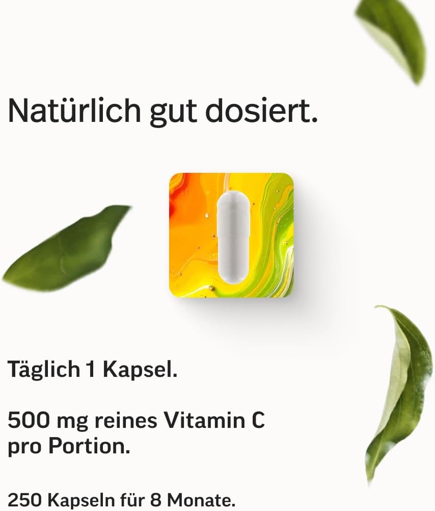 edubily® Vitamin C Kapseln 500 mg - Vitamin C Komplex aus gepuffertem Vit. C als Calciumascorbat und fettlöslichem Vit. C als Ascorbylpalminat (250 Kapseln)