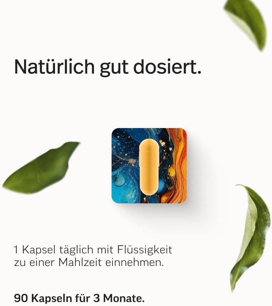 edubily® Das Multi - Multivitamin Kapseln als umfassende Mikronährstoff-Basis - mit 20 Mikronährstoffen, PQQ & Q10 - ohne unnötige Zusätze - 1 Kapsel täglich (90 Kapseln mit Iod)