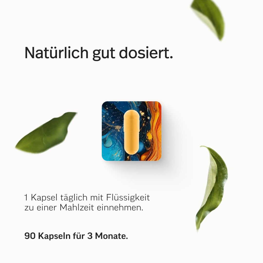 edubily® Das Multi - Multivitamin Kapseln als umfassende Mikronährstoff-Basis - mit 20 Mikronährstoffen, PQQ & Q10 - ohne unnötige Zusätze - 1 Kapsel täglich (90 Kapseln mit Iod)