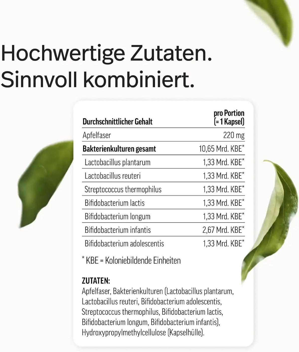 edubily® Darmbakterien Kapseln mit L. plantarum, L. reuteri, S. thermophilus, B. lactis, B. longum, B. infantis & B. adolescentis - Ohne Inulin (90 Kapseln)
